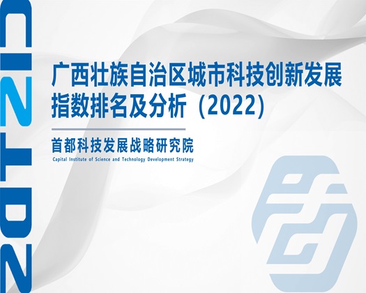 就要操屄【成果发布】广西壮族自治区城市科技创新发展指数排名及分析（2022）